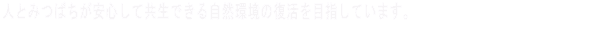 人とみつばちが安心して共生できる自然環境の復活を目指しています。